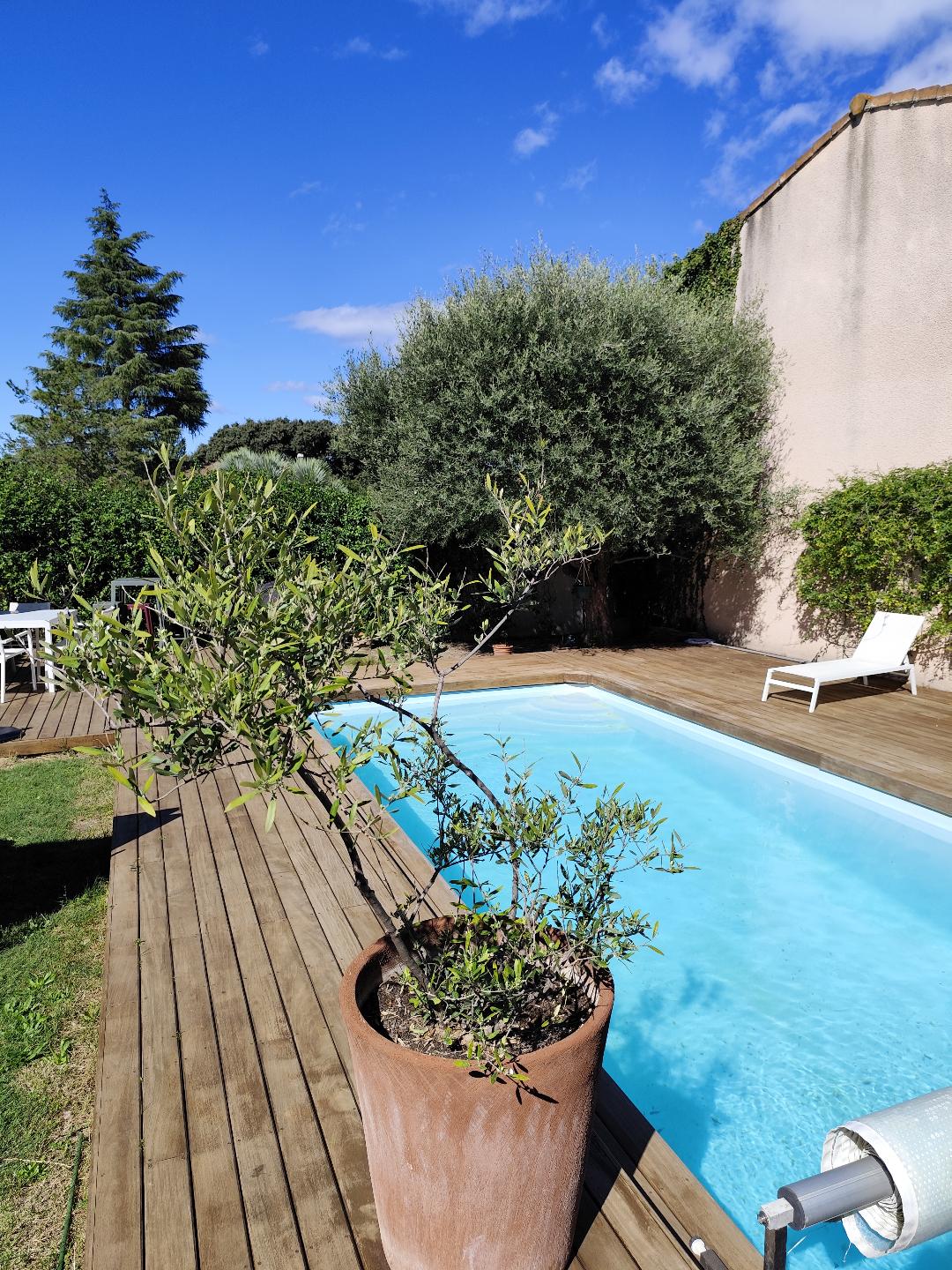 A serene pool is surrounded by a wooden deck, featuring sun loungers for relaxation. An olive tree in a terracotta pot adds greenery, while the clear blue sky and scattered clouds are visible in the background, enhancing the tranquil ambiance of the outdoor space.