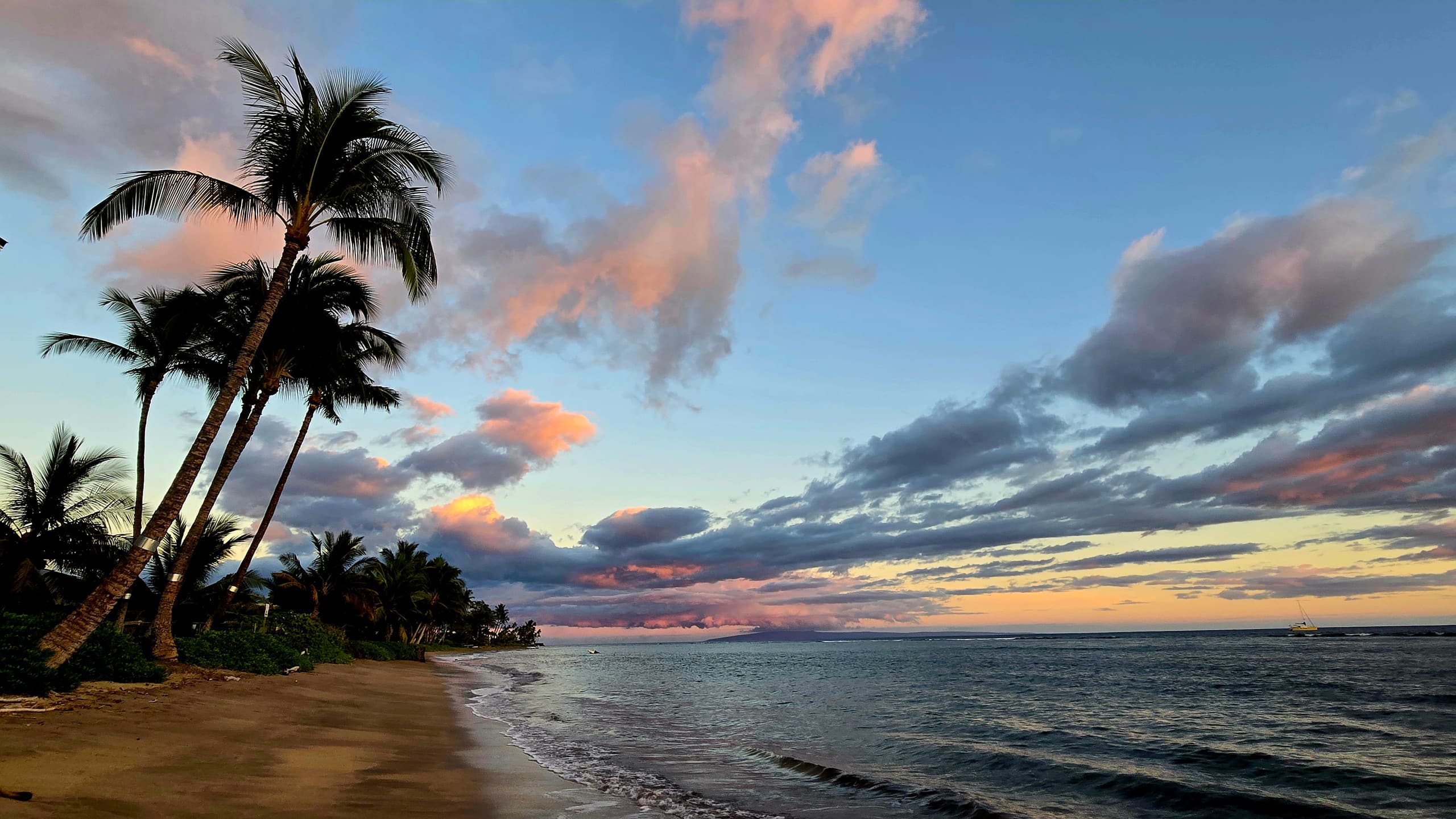 Condo in Lahaina · ★4.97 · Studio · 1 bed · 1 private bath - Image 31