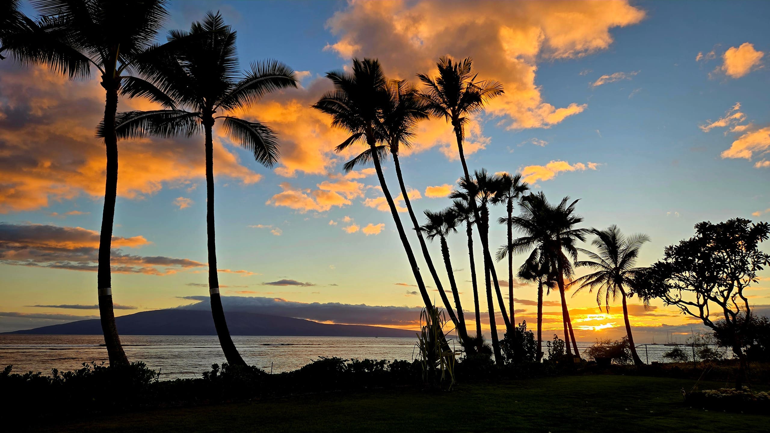 Condo in Lahaina · ★4.97 · Studio · 1 bed · 1 private bath - Image 30