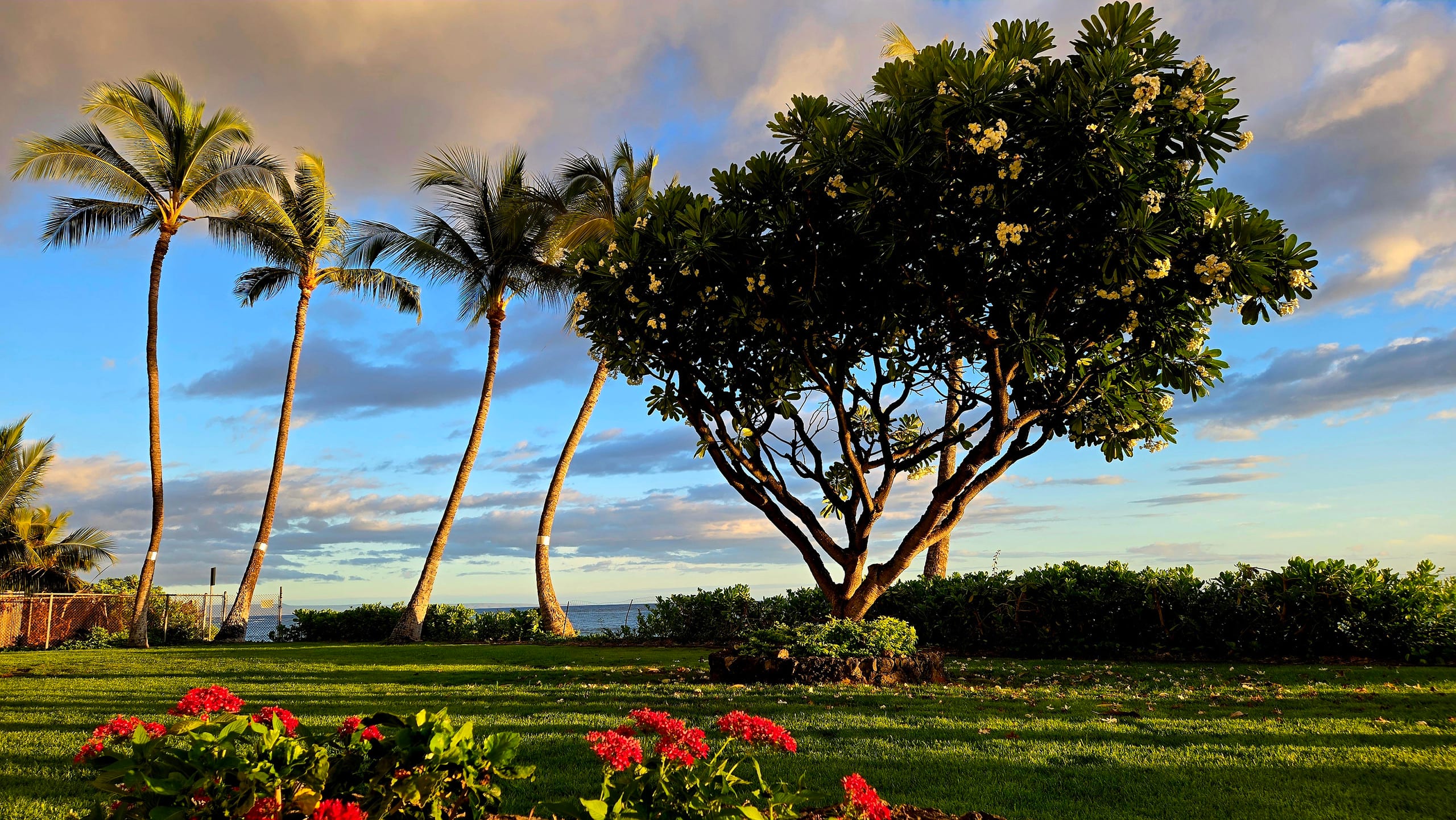 Condo in Lahaina · ★4.97 · Studio · 1 bed · 1 private bath - Image 32