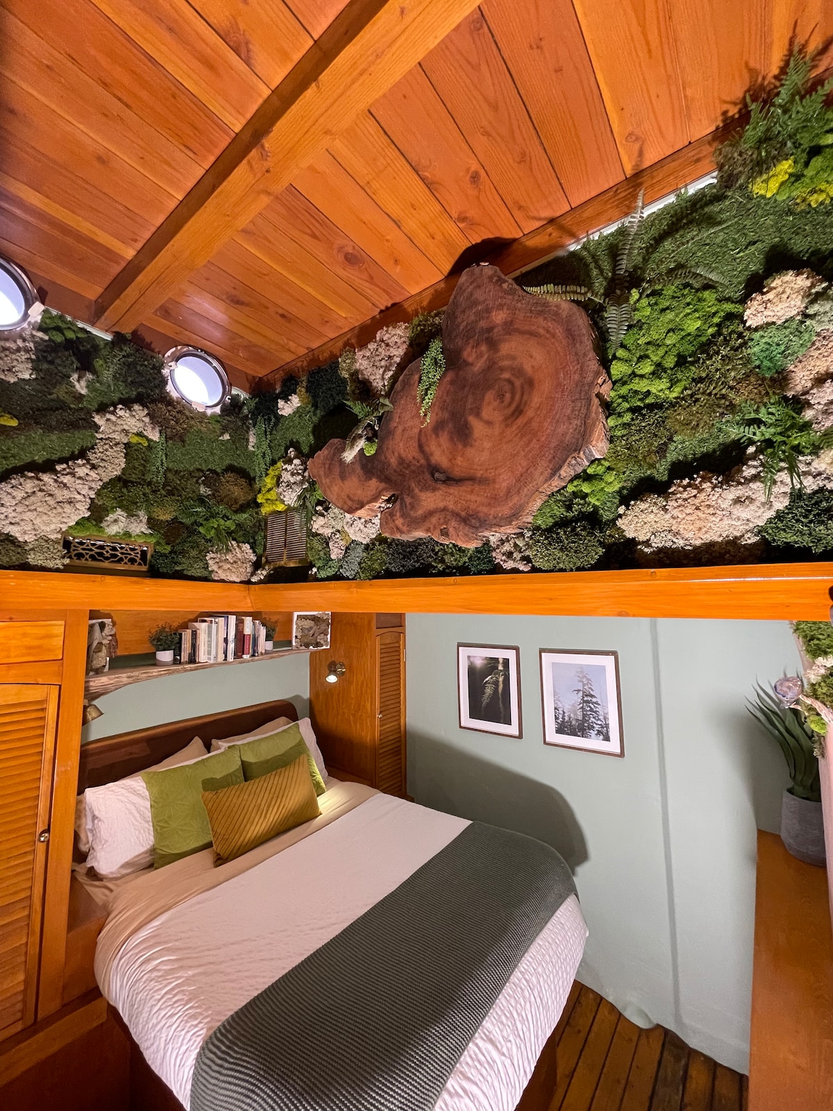 The Forest stateroom 