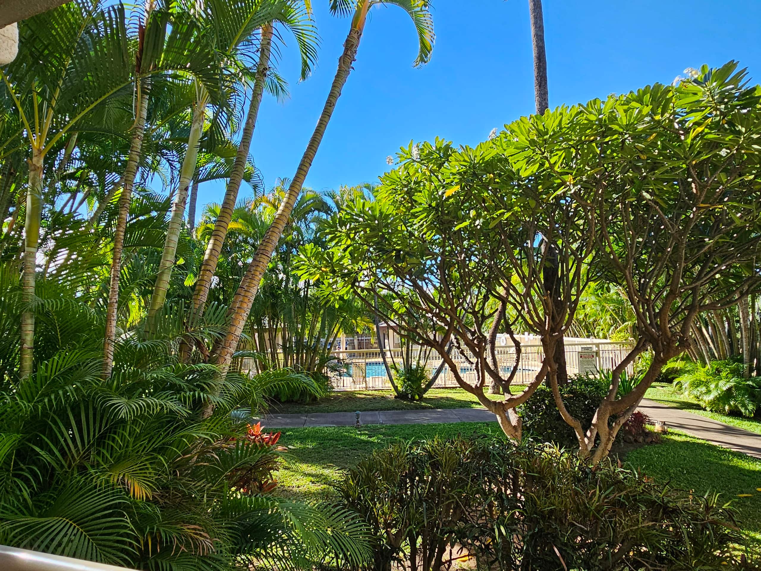 Condo in Kihei · ★4.86 · Studio · 2 beds · 1 bath - Image 10