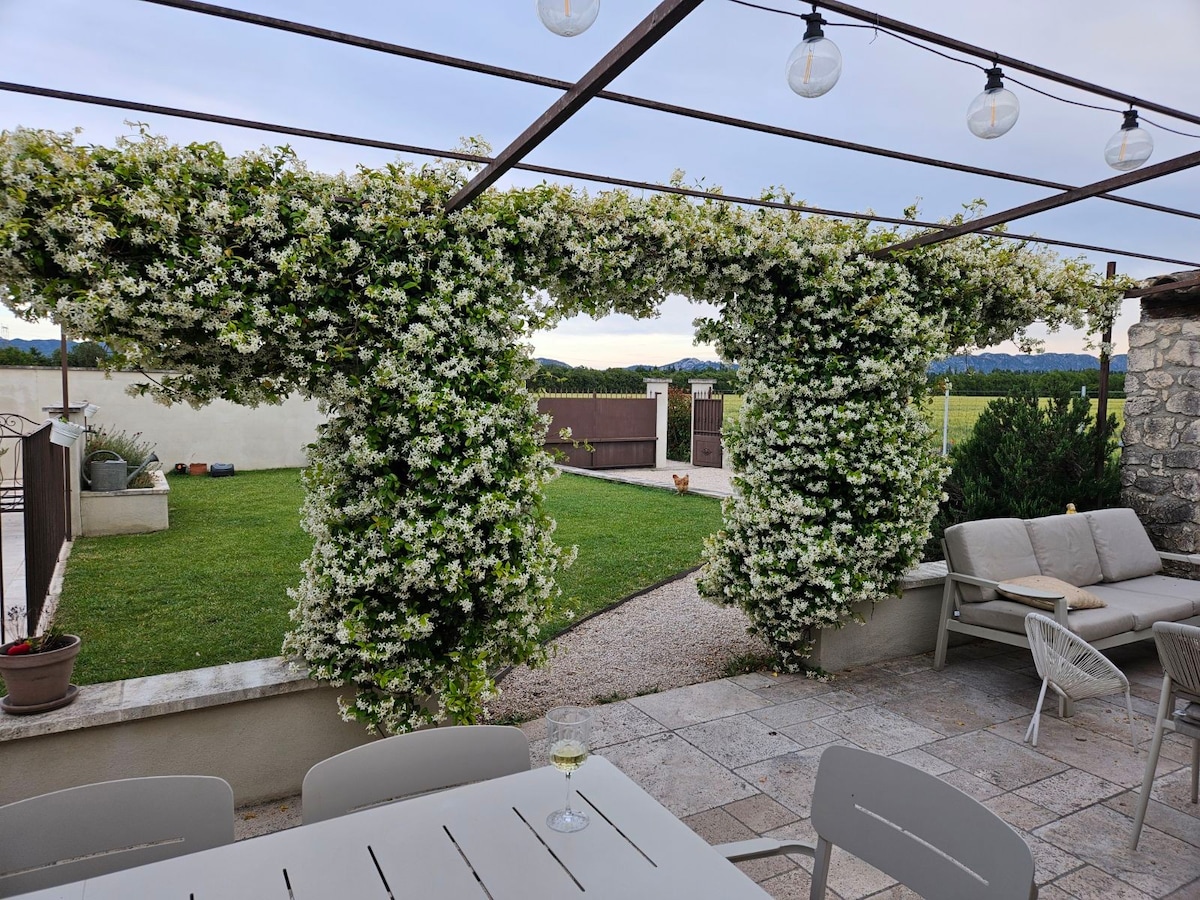 A serene outdoor space is framed by lush flowering vines overhead, creating a natural canopy. A green lawn extends into the distance, bordered by a gravel path. Comfortable seating arrangements are positioned on a stone patio, inviting relaxation amidst the surrounding greenery.