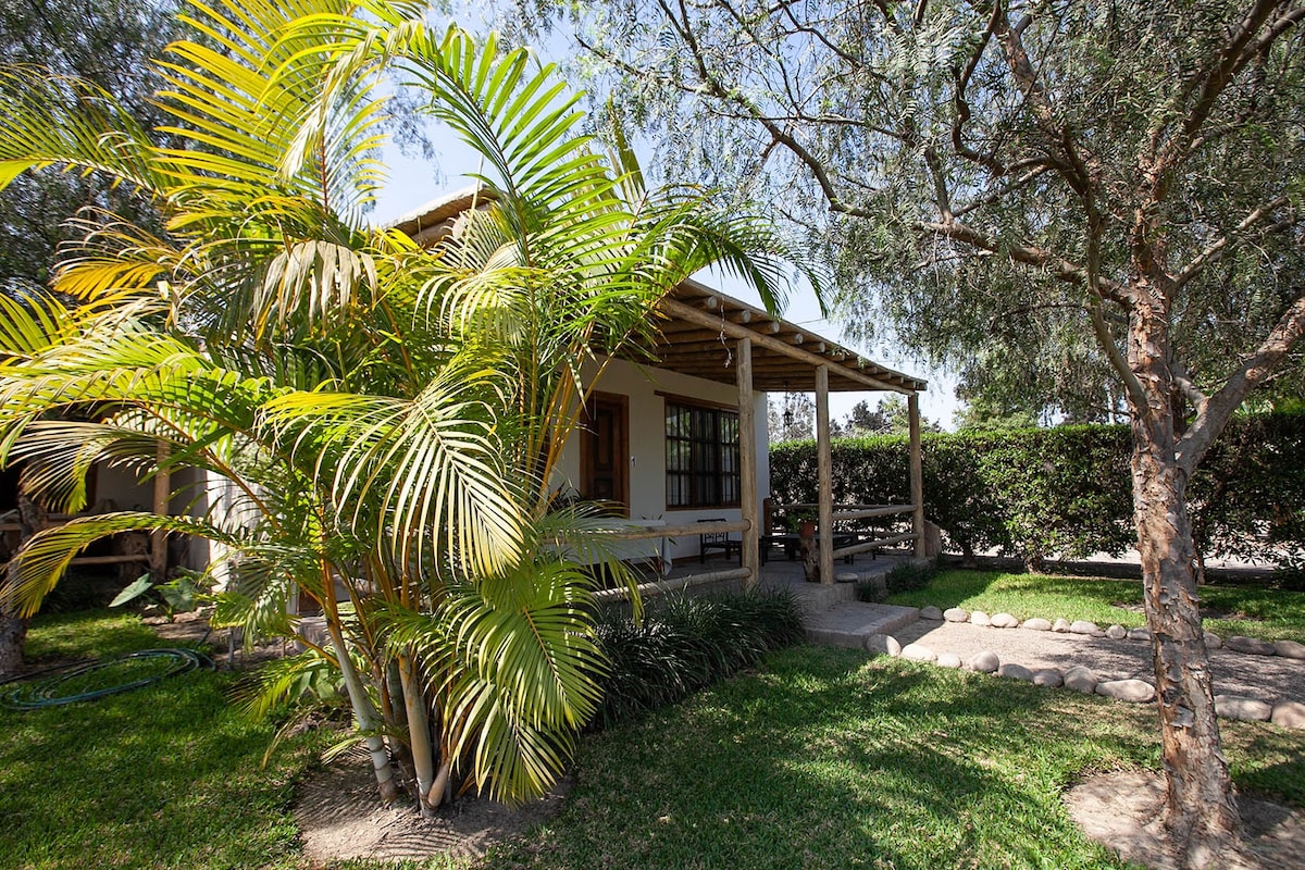 The exterior of a charming cabin is surrounded by lush greenery and palm trees. A covered porch offers shaded seating, while a stone pathway leads to the entrance. The tranquil setting is framed by manicured hedges and open grassy areas.