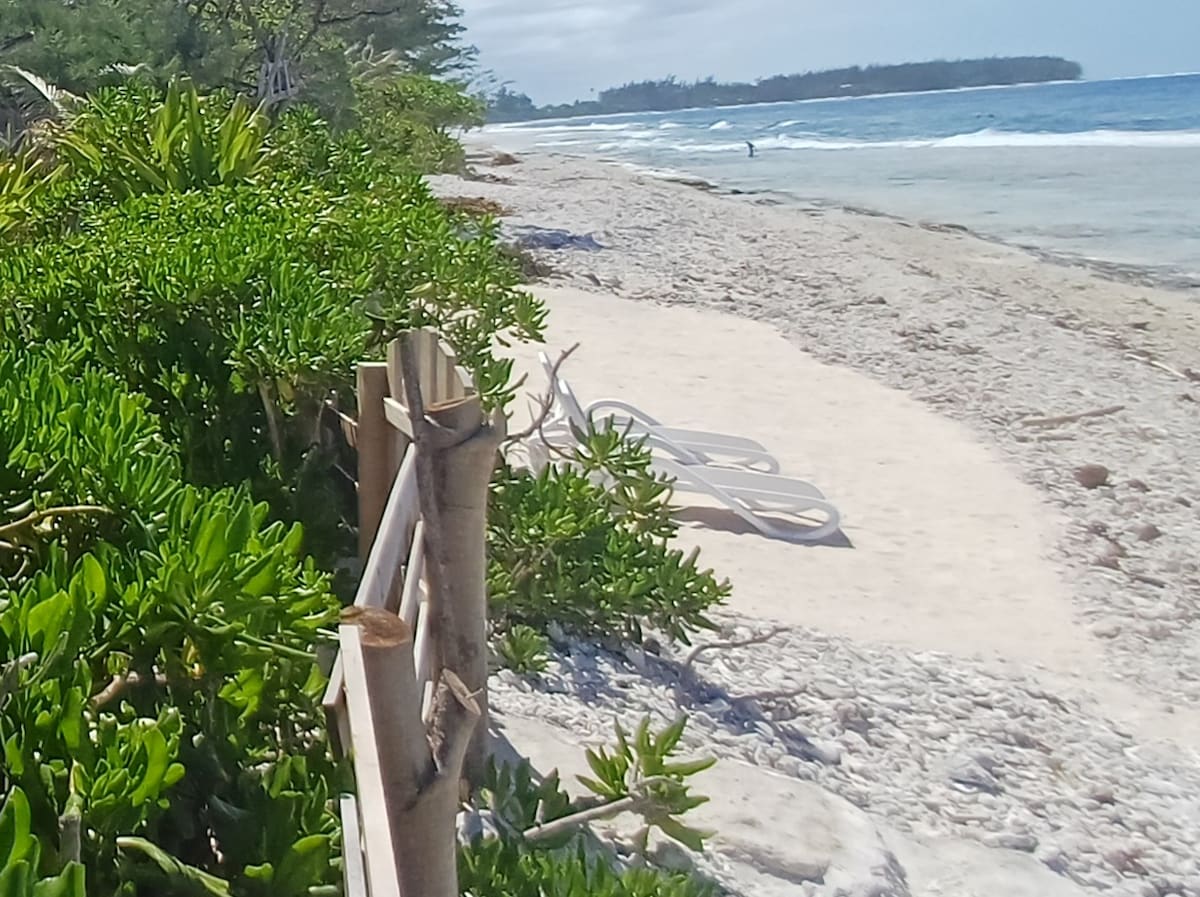 A sandy beach is bordered by lush greenery, with a wooden fence guiding the view. Two white lounge chairs are positioned near the shoreline, offering a space to relax and enjoy the ocean waves in the background.