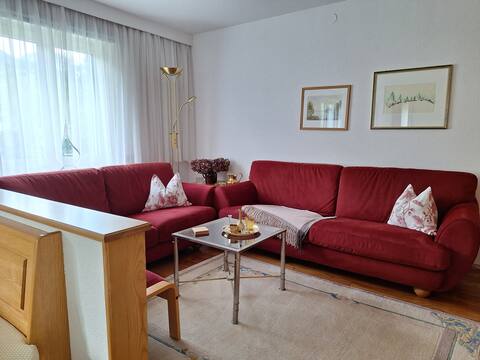 Successful Airbnb property: Ellis Apartment in Vorarlberg