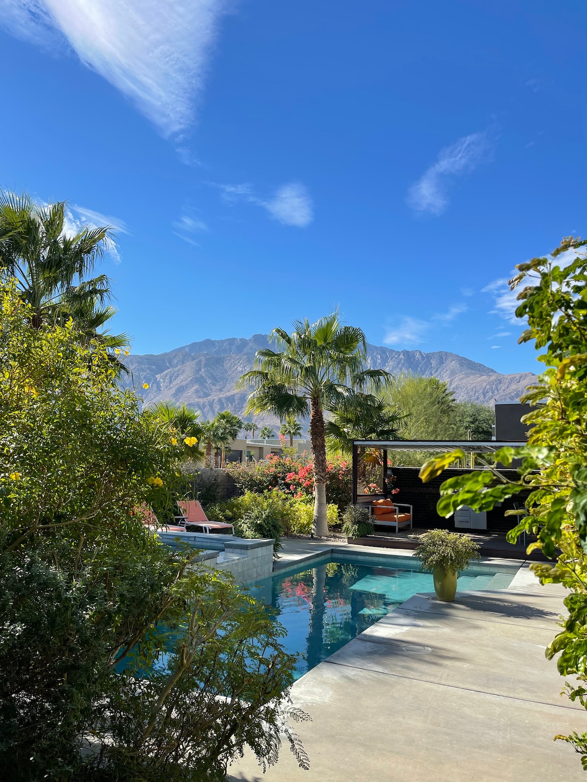 ☀The Palmetto House. A Luxury Mid-Century Oasis☀ - Houses for