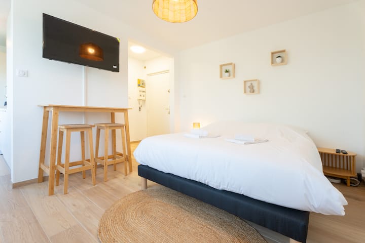 Super Studio 2 Pers Near Basel Wifi Terrasse Le 35 - Bâle