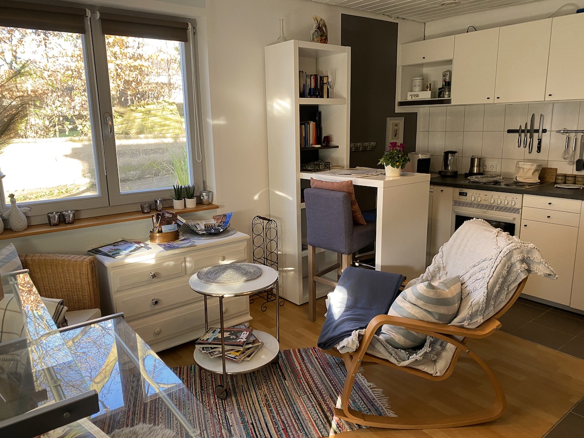 Successful Airbnb property: in Casa nella Vigna not far from the vineyards in Rheinland Pfalz