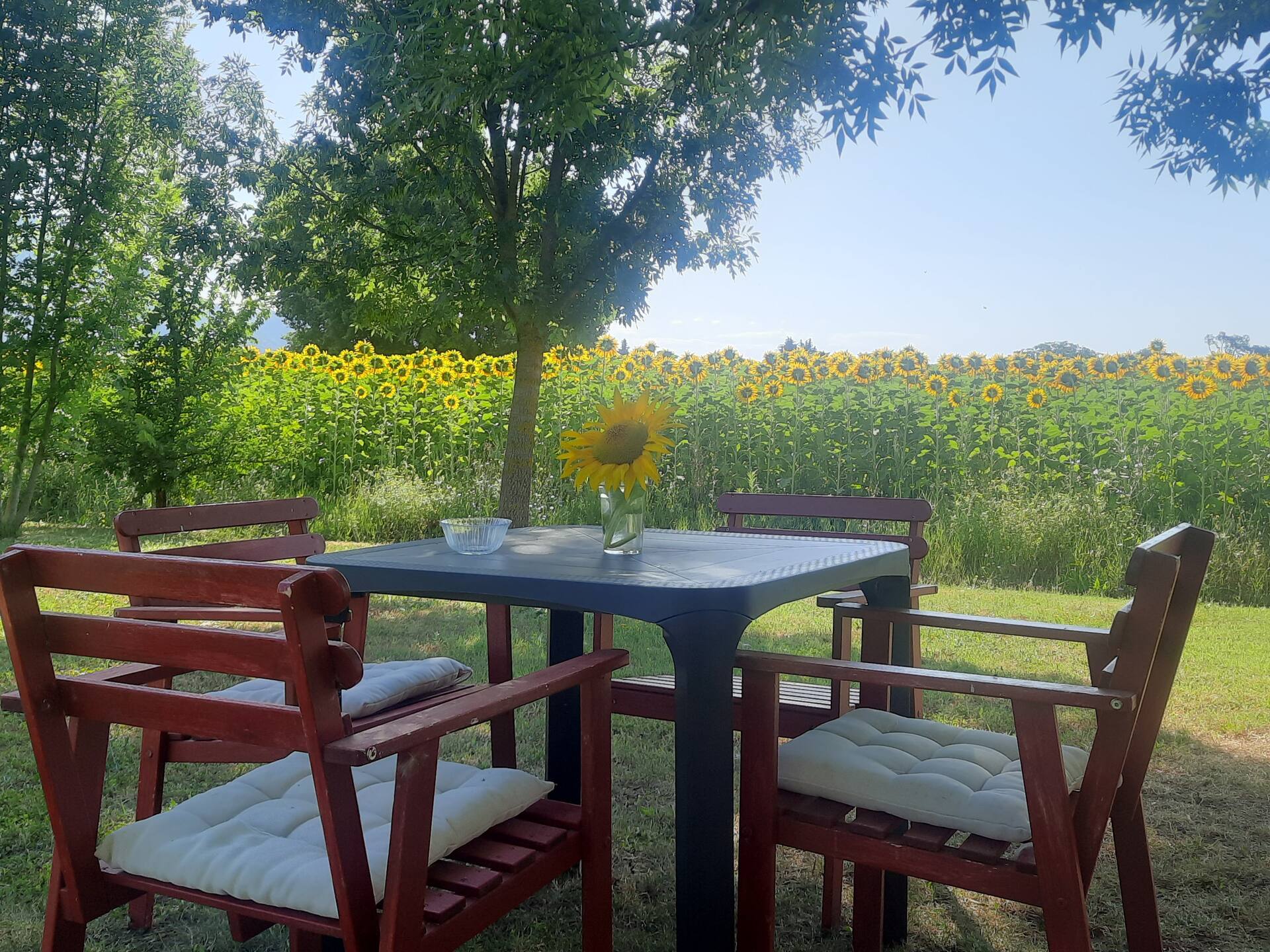 Casa Dora in the countryside 1 km from Gubbio 2/4 people