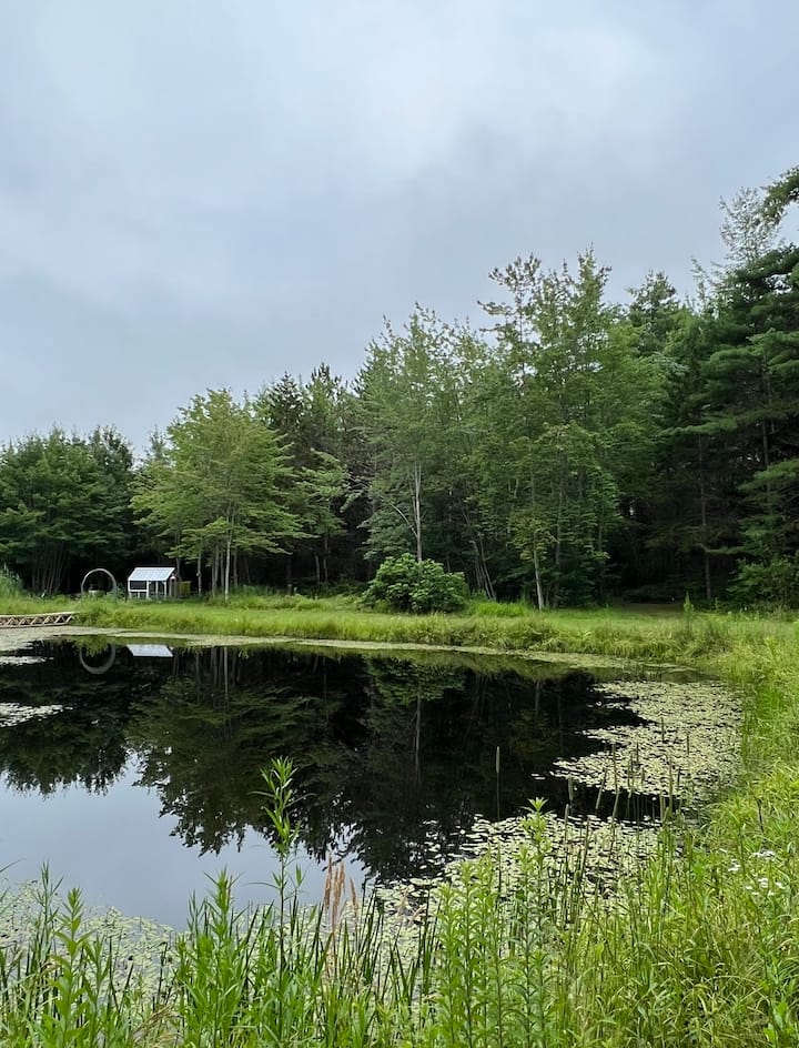 Woodland Oasis In Kennebunkport - Kennebunkport, ME