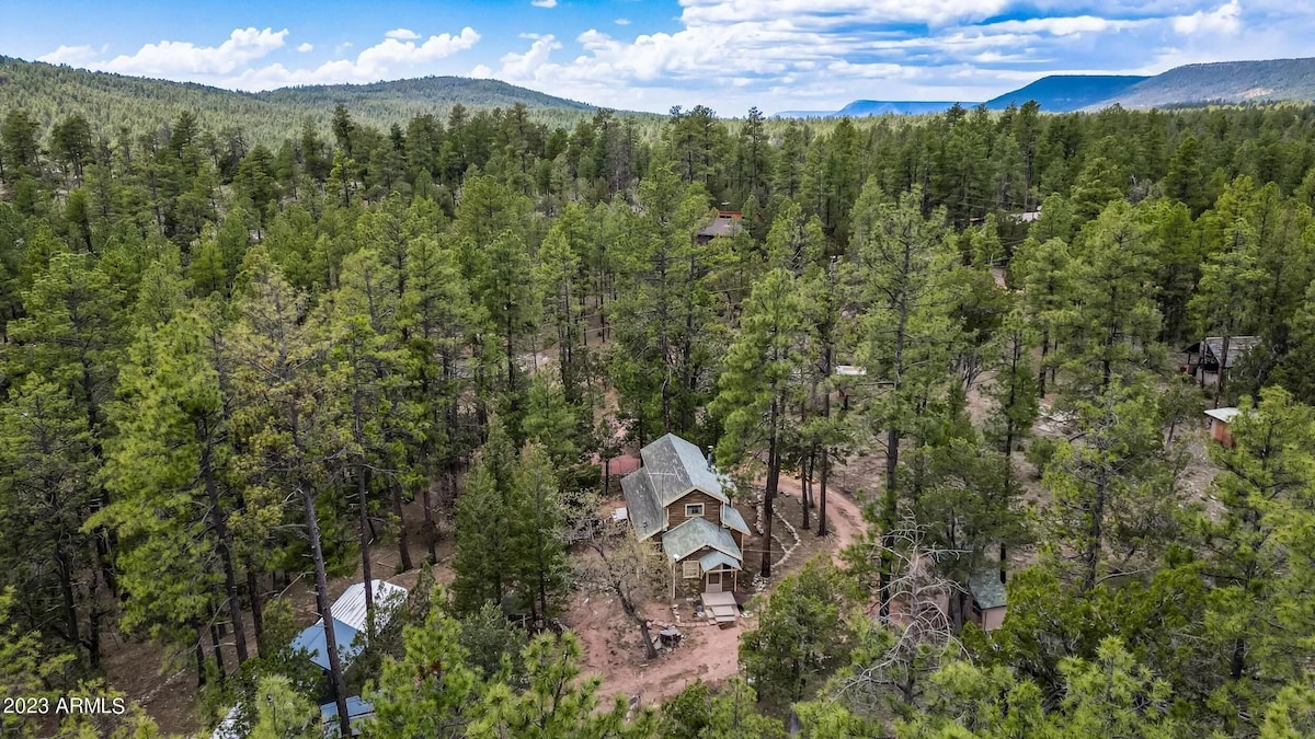 An aerial view of a two-story chalet surrounded by abundant pine trees, showcasing a natural and serene environment. The property is situated on a one-acre lot, with dirt pathways visible among the greenery. The distant hills provide a backdrop to this peaceful setting.