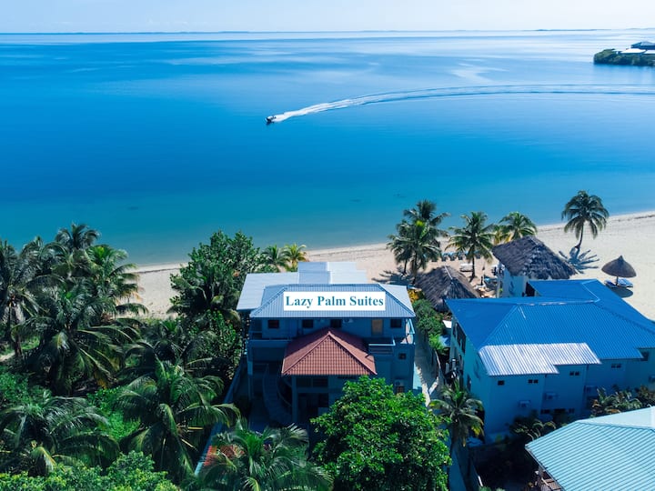 Lazy Palm Suites- Easy Breezy Suite- Oceanfront in Placencia