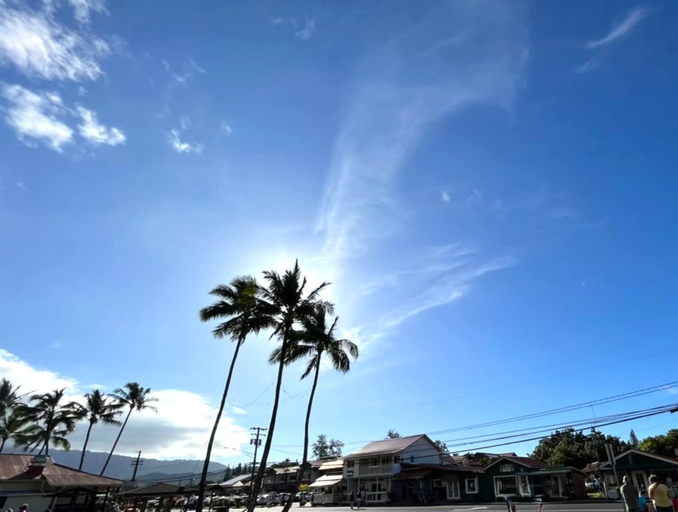 Condo in Honolulu · ★4.67 · Studio · 2 beds · 1 private bath - Image 19
