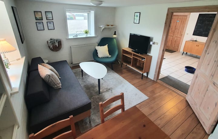 Double Apartment In Manor - Denemarken