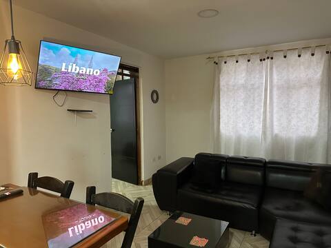Apartments FM 201