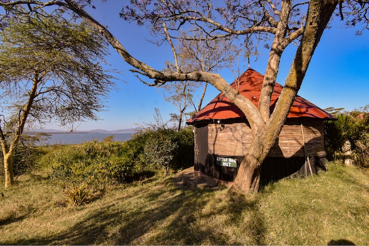 The Little Bee Hut. 1 Bedroom with bathroom outside.