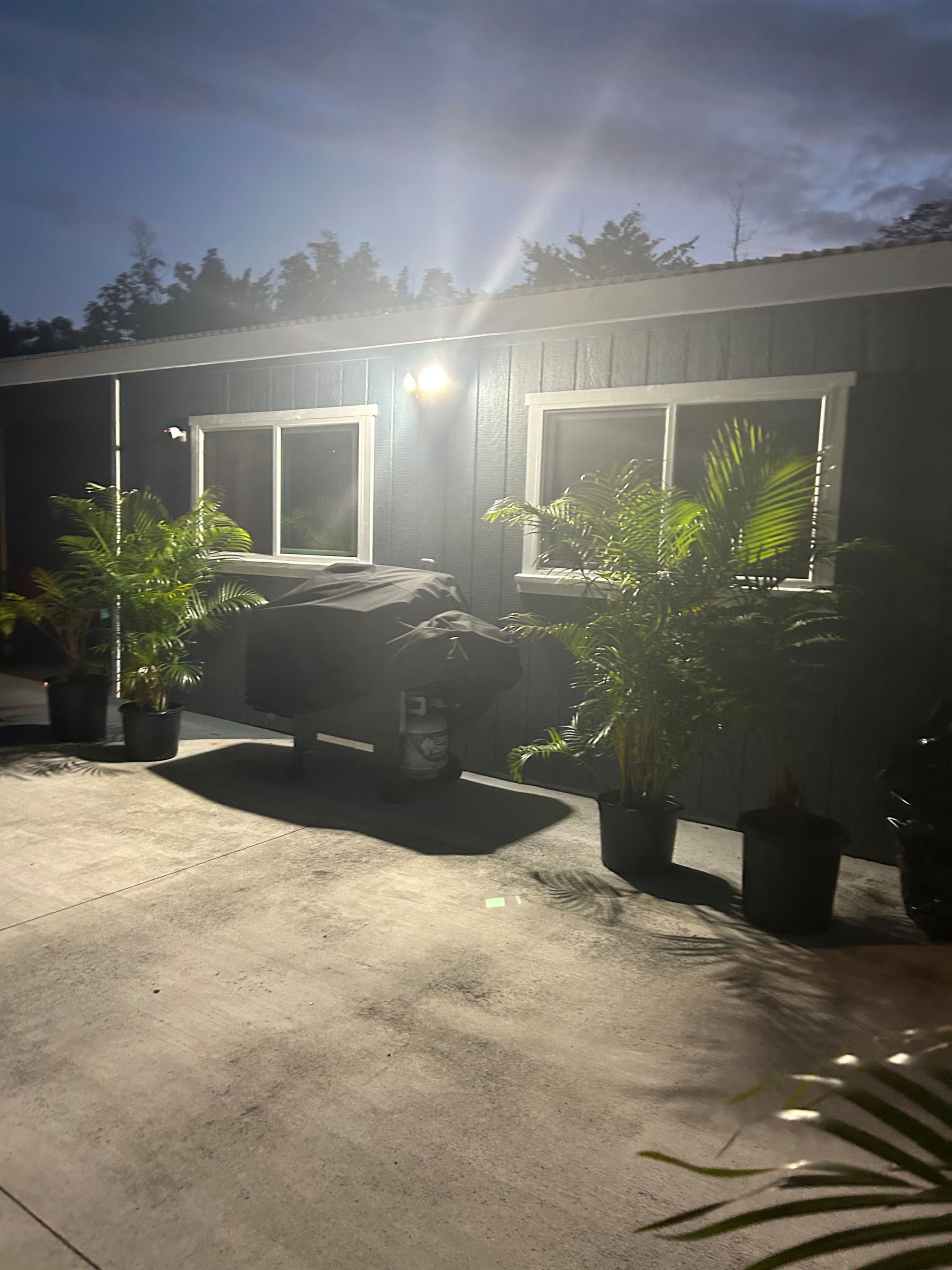 Guesthouse in Keaau · ★4.98 · 1 bedroom · 2 beds · 1 private bath - Image 55