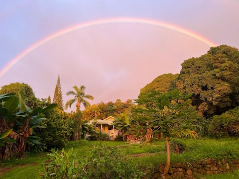 Private Paradise Organic Farm Stay with Ocean View