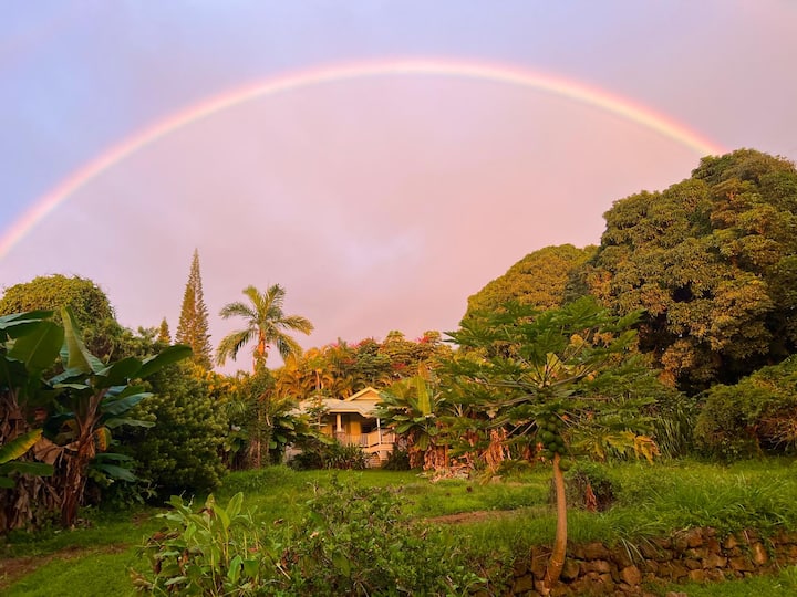 Private Paradise Organic Farm Stay With Ocean View - Captain Cook, HI