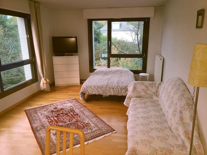 Quartier Orangerie, 2 Pieces, 70 M2 - Estrasburgo