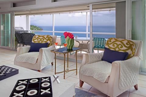 Successful Airbnb property: Ocean Views | Near Magen’s Bay w/ Pool & Generator in Tutu