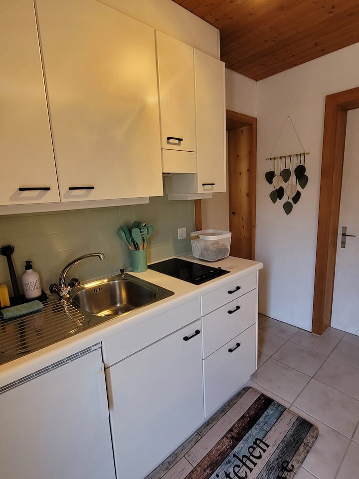 Heimelige Einzimmerwohnung Mit Terrasse - Brienz