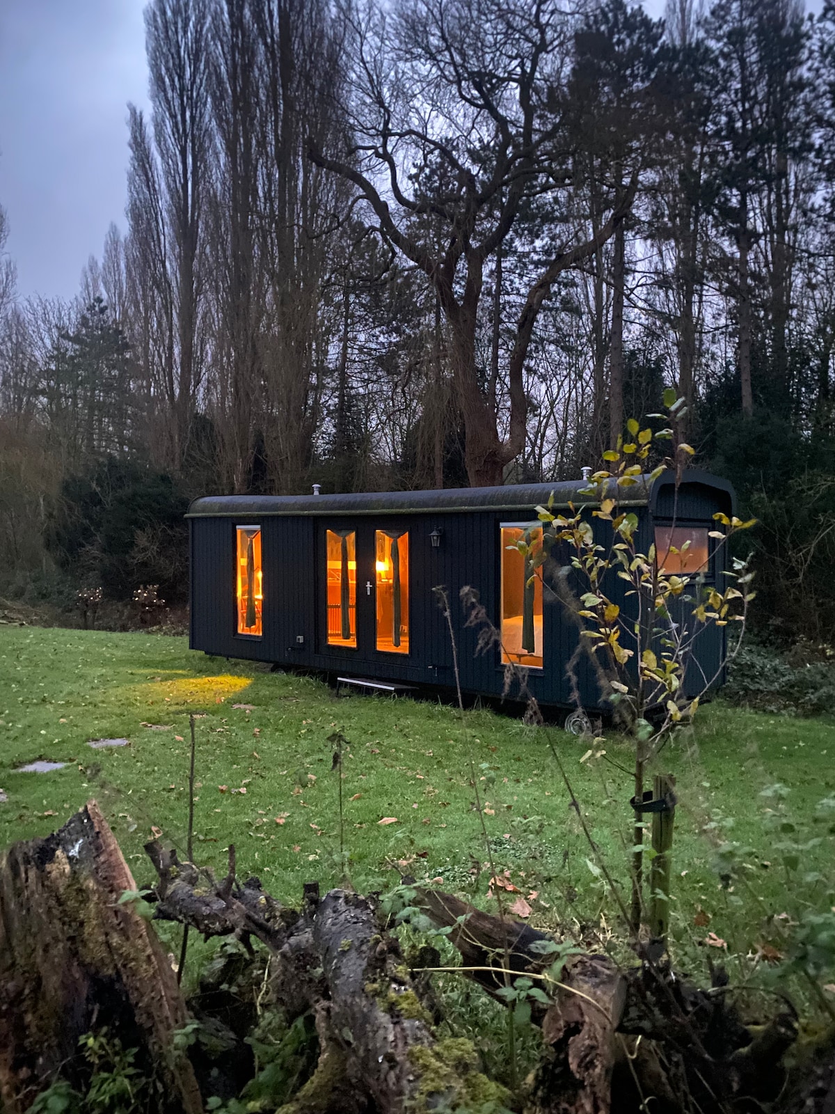 Rotterdam Pet-Friendly Vacation Rentals | Airbnb