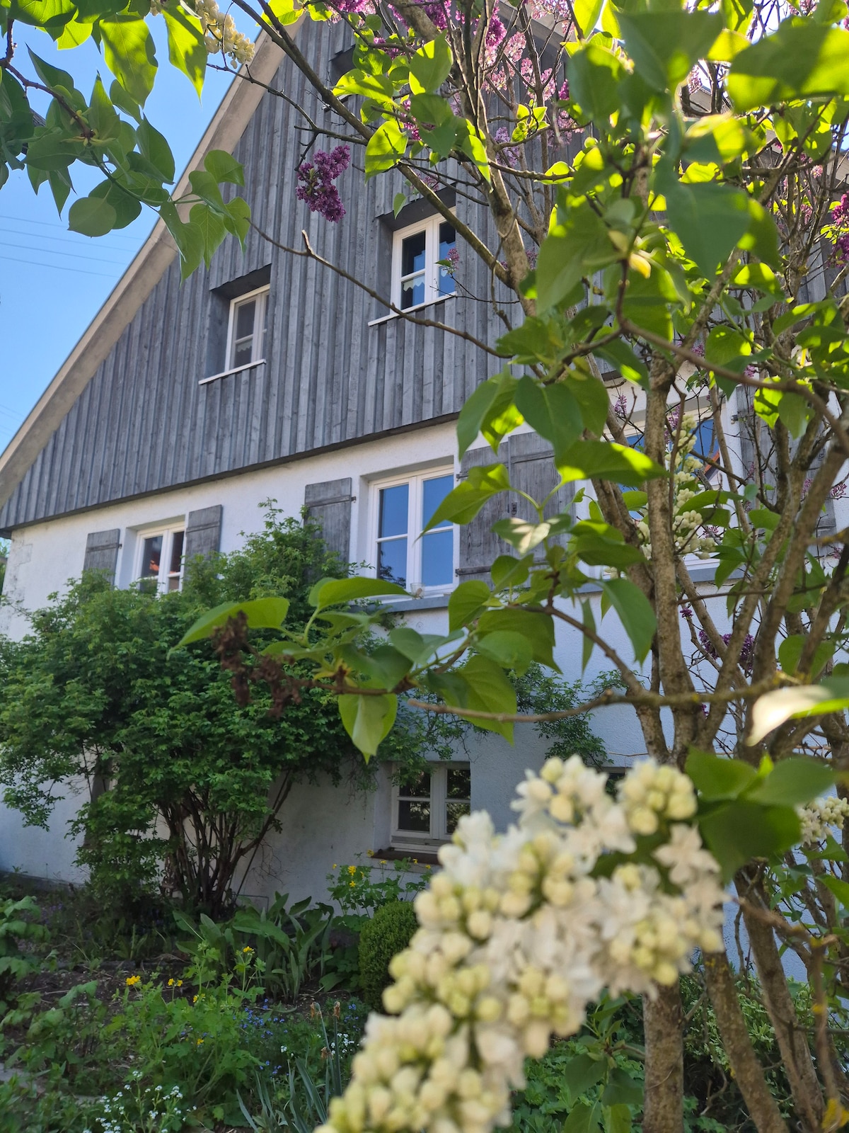 The image captures the exterior of a charming house surrounded by a blooming garden. Soft greenery frames the view, with windows visible on the upper level, showcasing natural light streaming through. White flowers and lilac blooms add color and texture to the peaceful setting.
