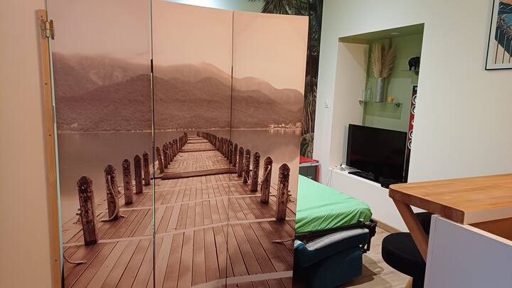 Paravent pour séparation couchage salon.