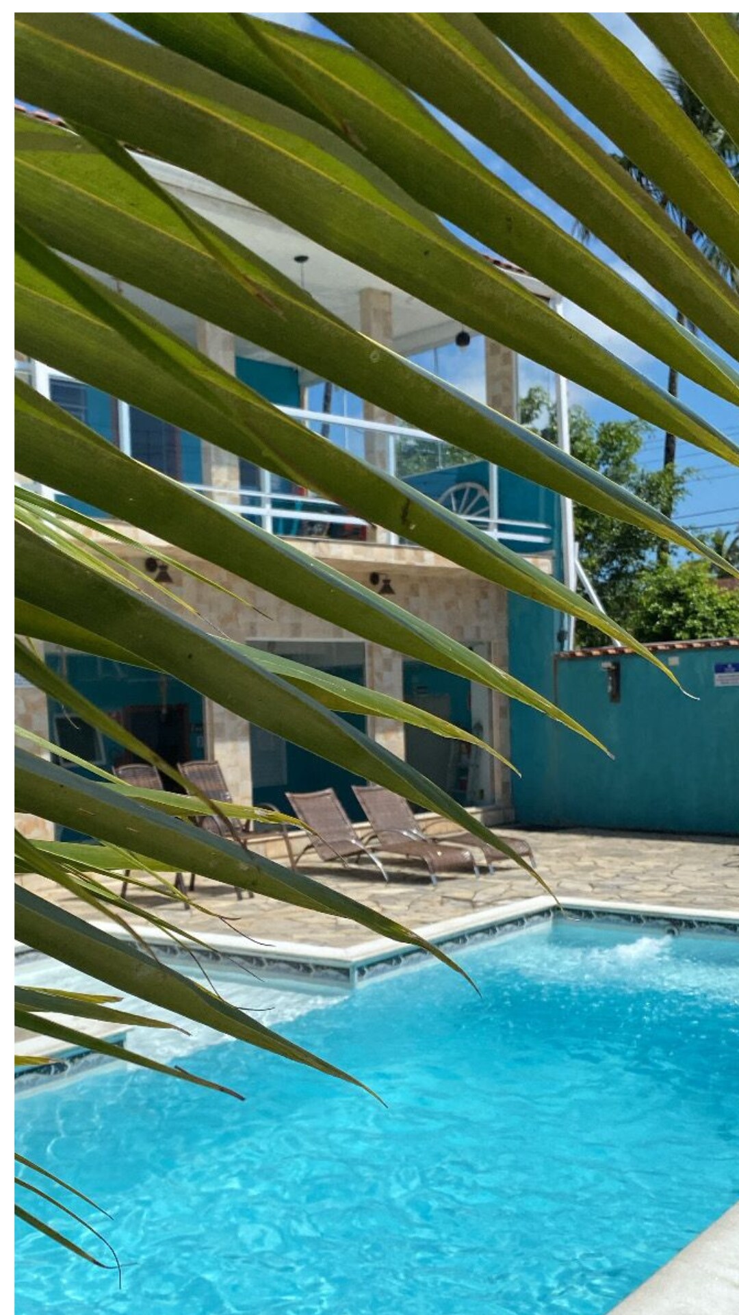 A swimming pool glimmers beneath sunlight, surrounded by lounge chairs positioned on a stone patio. Tropical palm leaves frame the view, highlighting the vibrant blue of the surrounding walls and the dual-story building in the background.