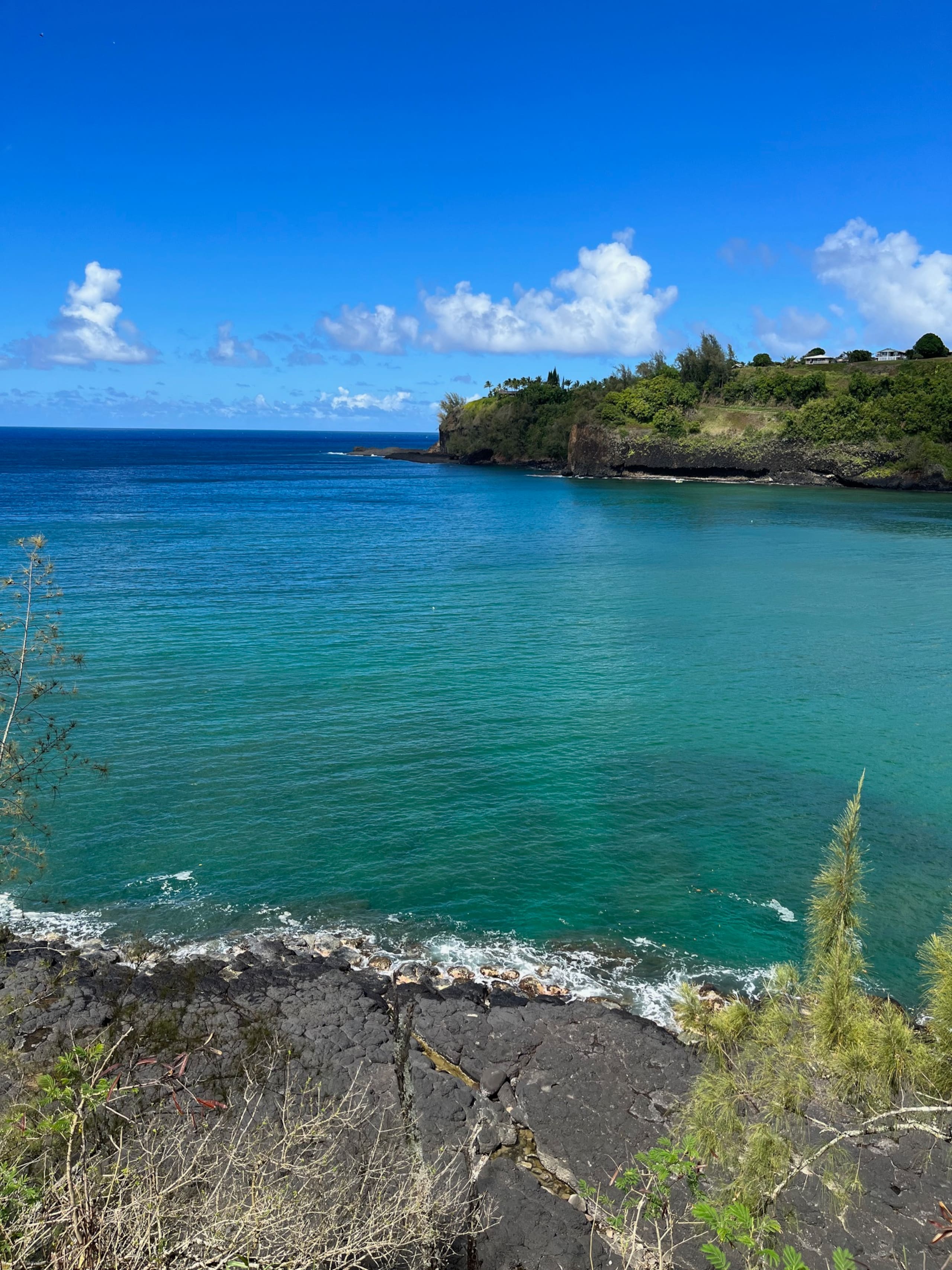 1 BR condo, Princeville, Kauai - Image 34