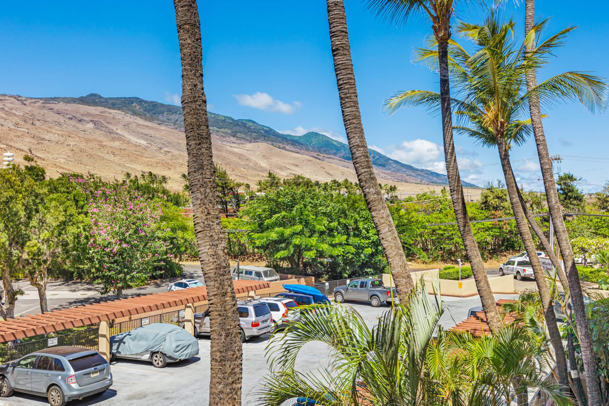 Condo in Maalaea · ★4.85 · 1 bedroom · 2 beds · 1 bath - Photo 24