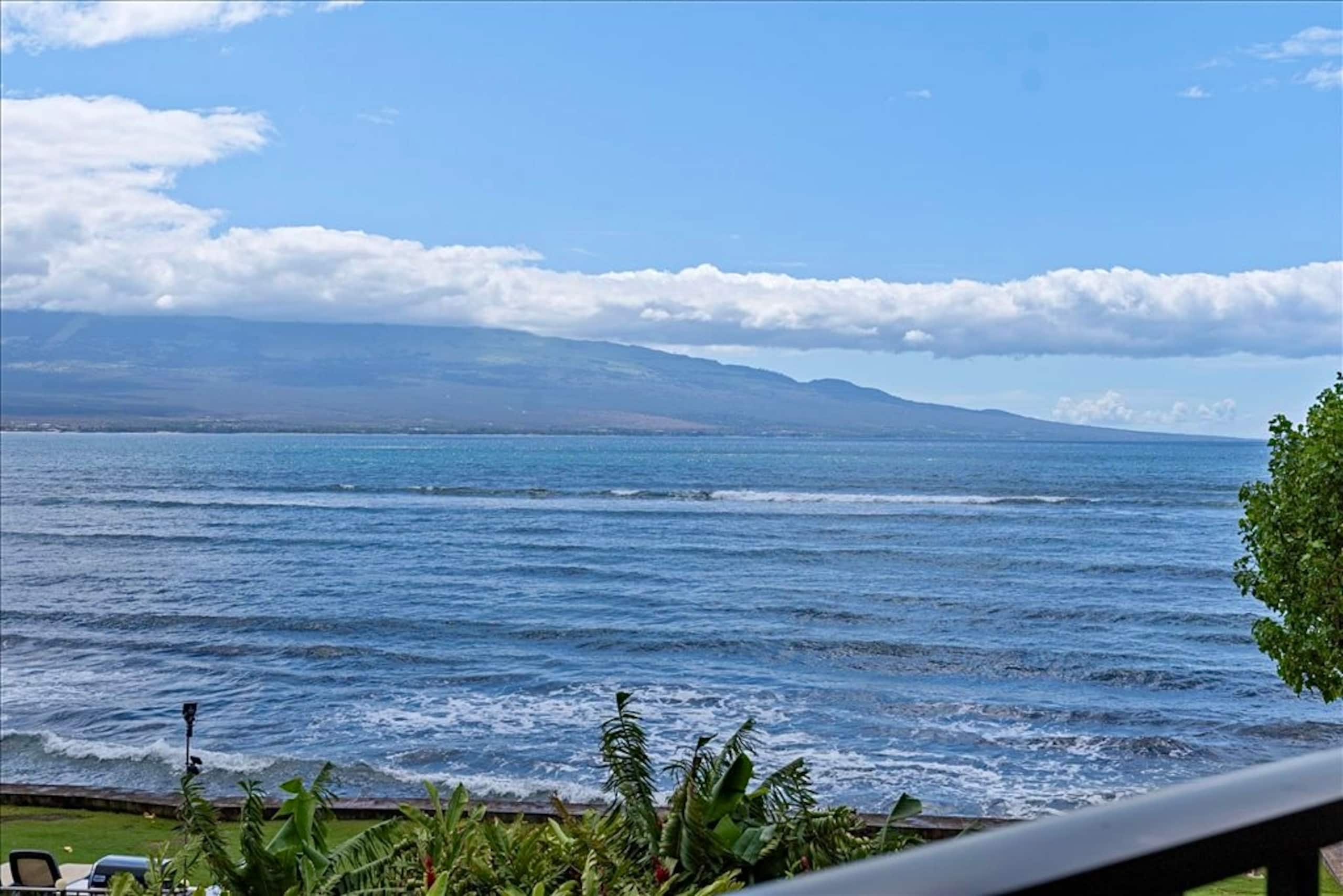 Condo in Maalaea · ★4.85 · 1 bedroom · 2 beds · 1 bath - Photo 25