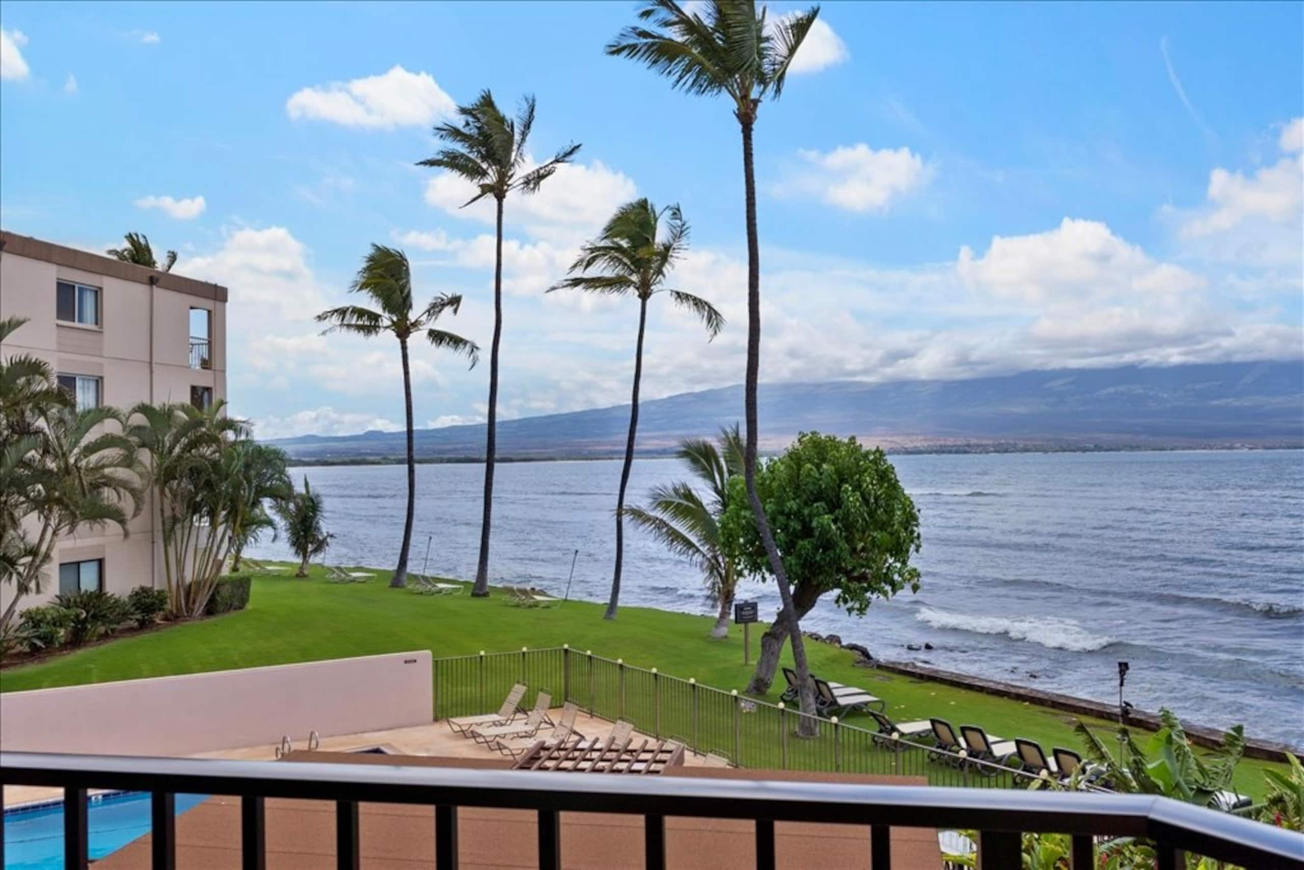 Condo in Maalaea · ★4.85 · 1 bedroom · 2 beds · 1 bath - Photo 17