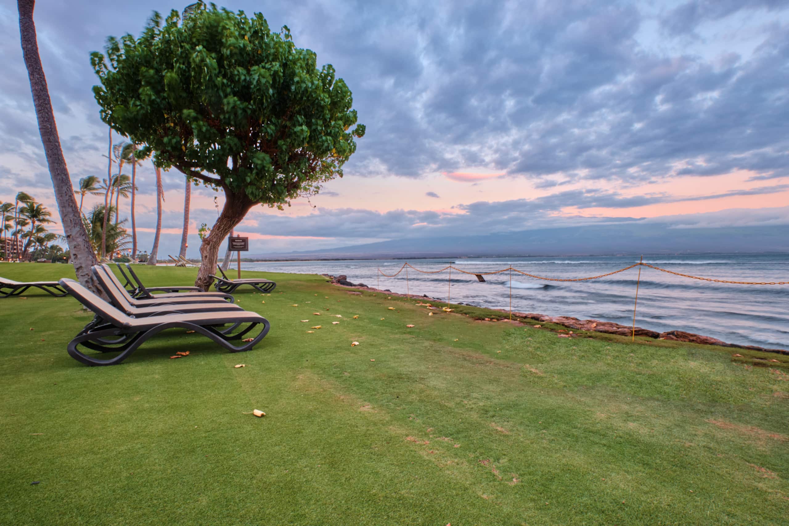 Condo in Maalaea · ★4.85 · 1 bedroom · 2 beds · 1 bath - Photo 22