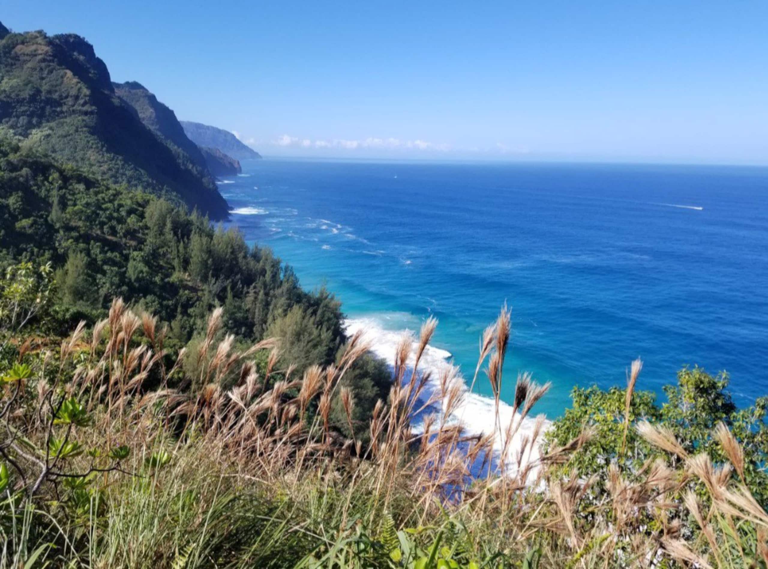 Condo in Princeville · ★4.83 · 2 bedrooms · 2 beds · 2 private baths - Image 36