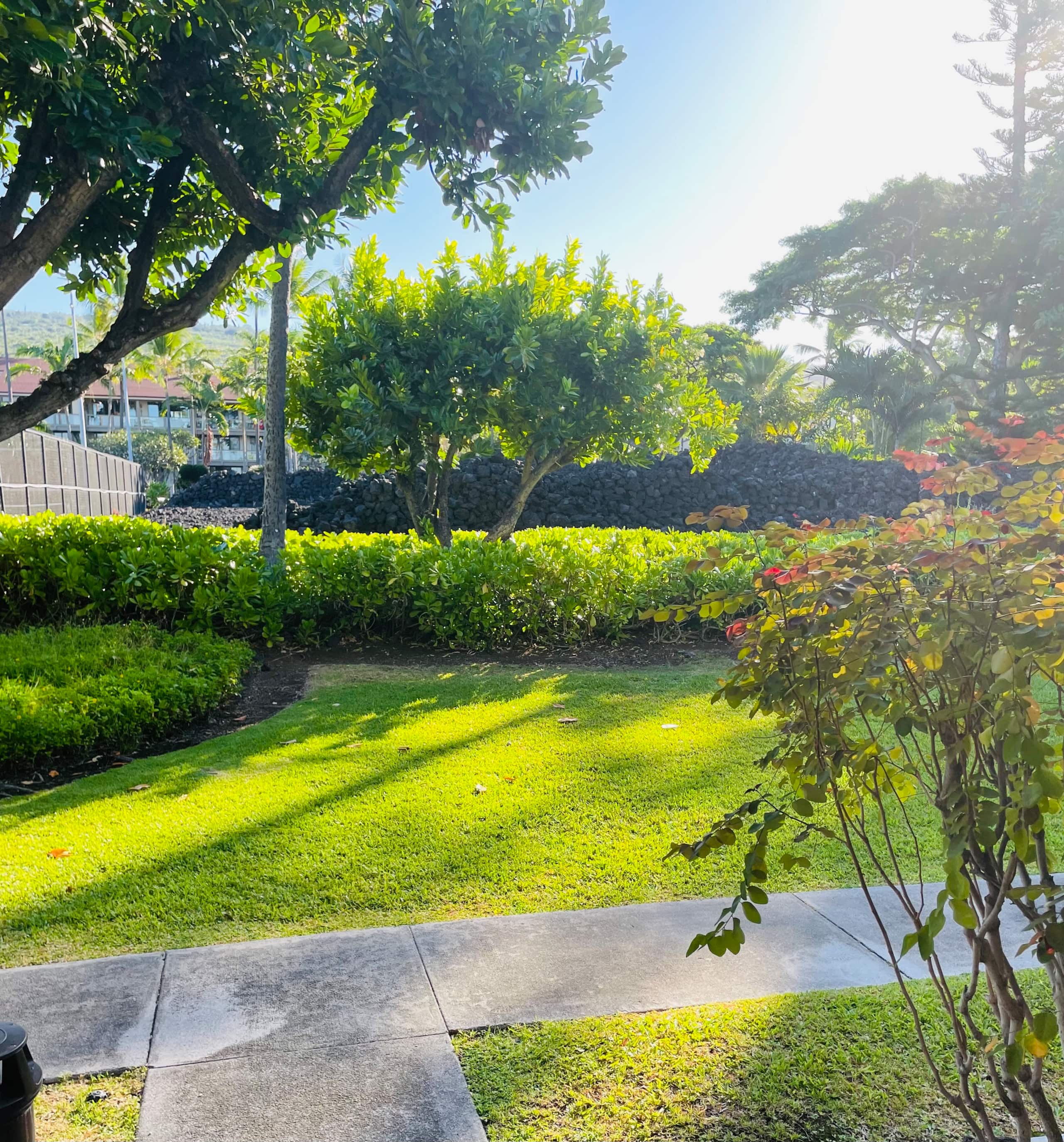 Condo in Kailua-Kona · ★4.95 · 2 bedrooms · 2 beds · 2 baths - Image 29
