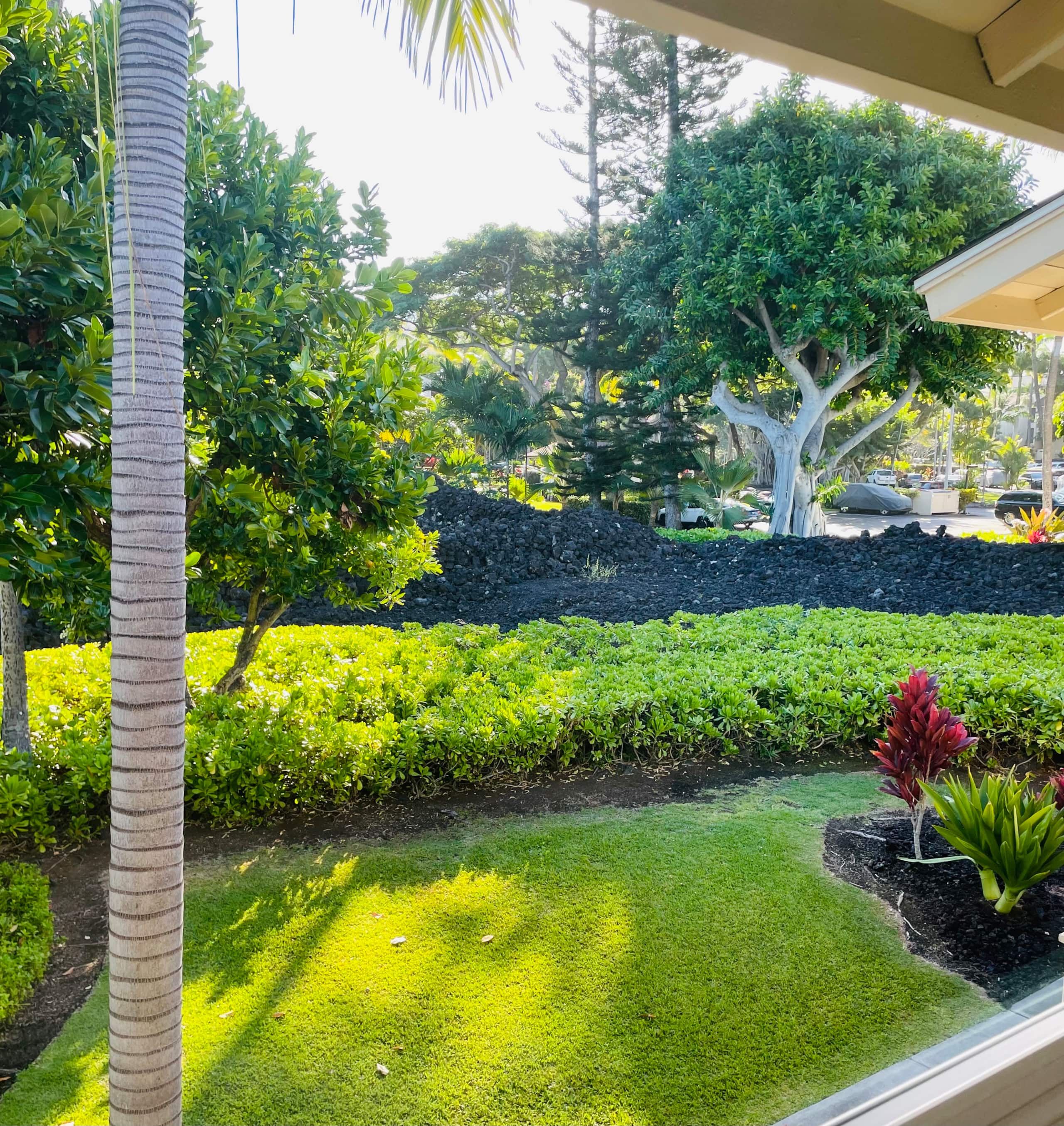 Condo in Kailua-Kona · ★4.95 · 2 bedrooms · 2 beds · 2 baths - Image 20