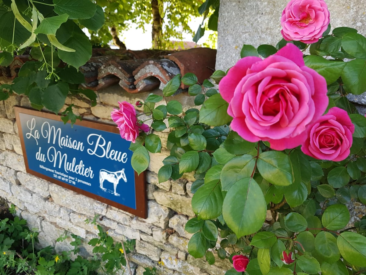 The entrance sign to 'La Maison Bleue du Muletier' is seen against a stone wall adorned with vibrant pink roses. The sign features a blue background with white lettering and an illustration of a horse, set among lush green foliage.