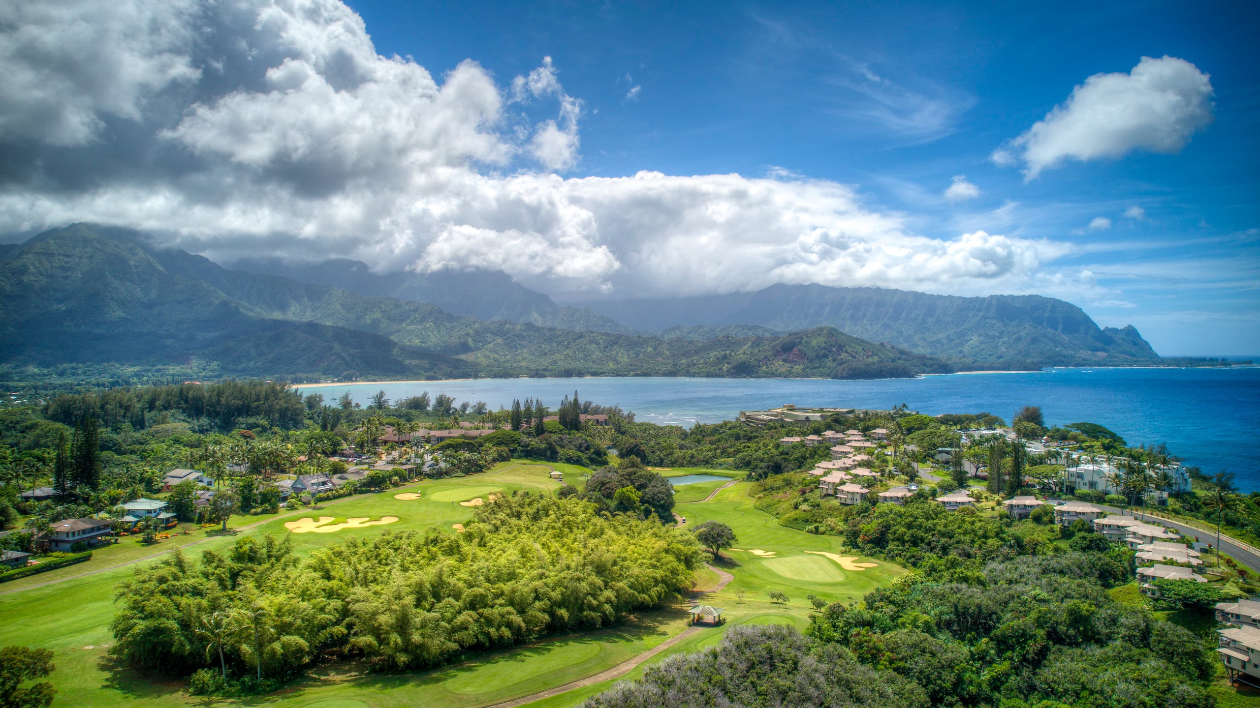 Condo in Princeville · ★4.95 · 1 bedroom · 1 bed · 1 bath - Image 42