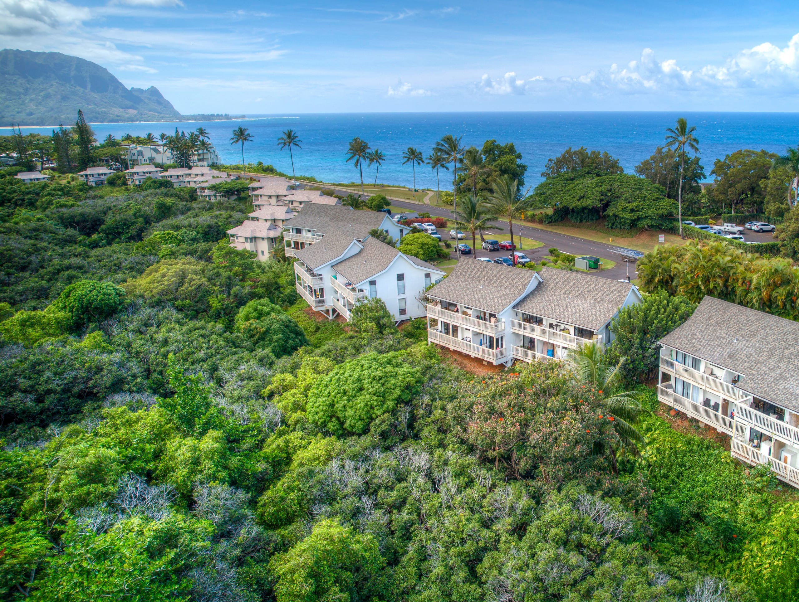 Condo in Princeville · ★4.95 · 1 bedroom · 1 bed · 1 bath - Image 41