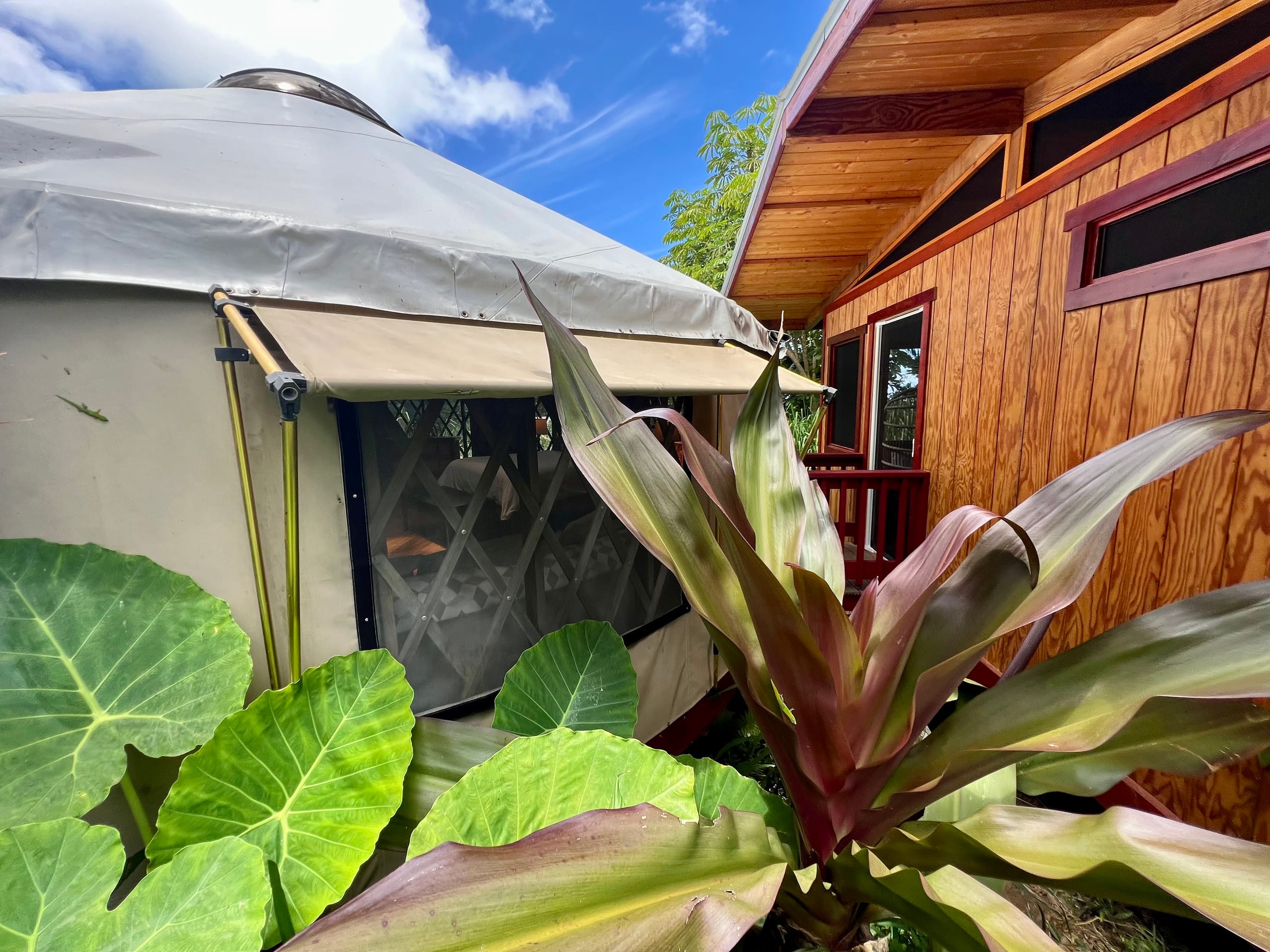 Magical farm retreat, stunning yurt & spa bathroom - Photo 29