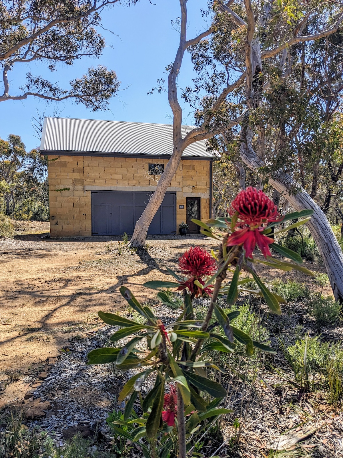 The image captures a mud-brick cottage nestled among native bushland, with a modern roof and a broad garage door. In the foreground, vibrant red flowers stand out against the natural setting, while trees frame the cozy building, contributing to the serene atmosphere.