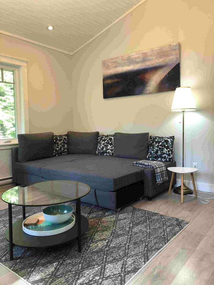 Unfolded Double size sofa-bed (55"x80")