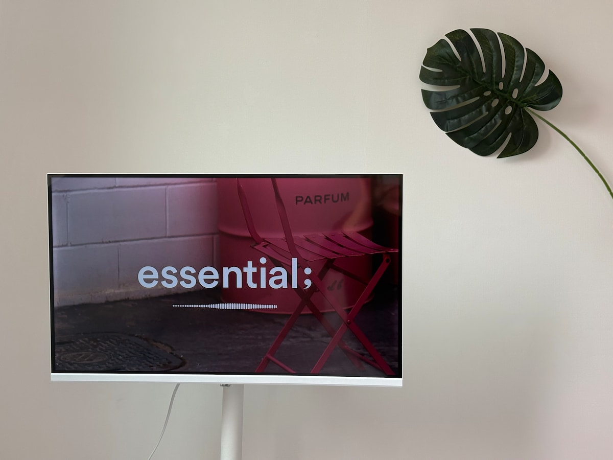 A modern television is mounted on a wall, displaying the word 'essential' alongside a chair in the background. A green monstera leaf is positioned nearby, adding a touch of nature to the minimalist decor.