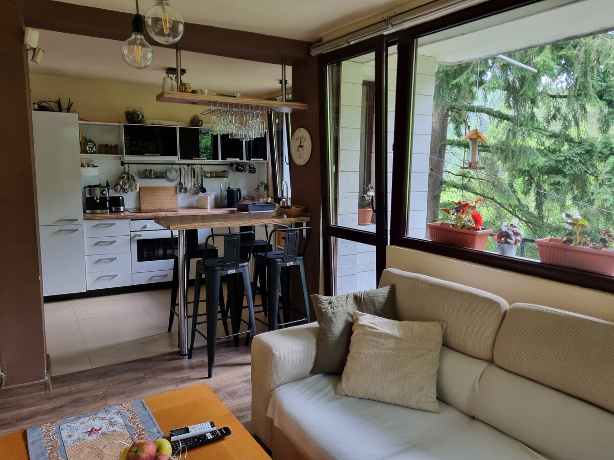 An open-concept living area reveals a comfortable sofa facing a wooden coffee table adorned with fresh fruit. A kitchen with modern appliances and a breakfast bar features high stools, while large windows showcase views of the greenery outside, enhancing the relaxing atmosphere.