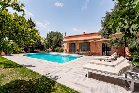 Popular Airbnb listing: Berber Chalet – Petite Oasis 2 Bedrooms in Essaouira Province