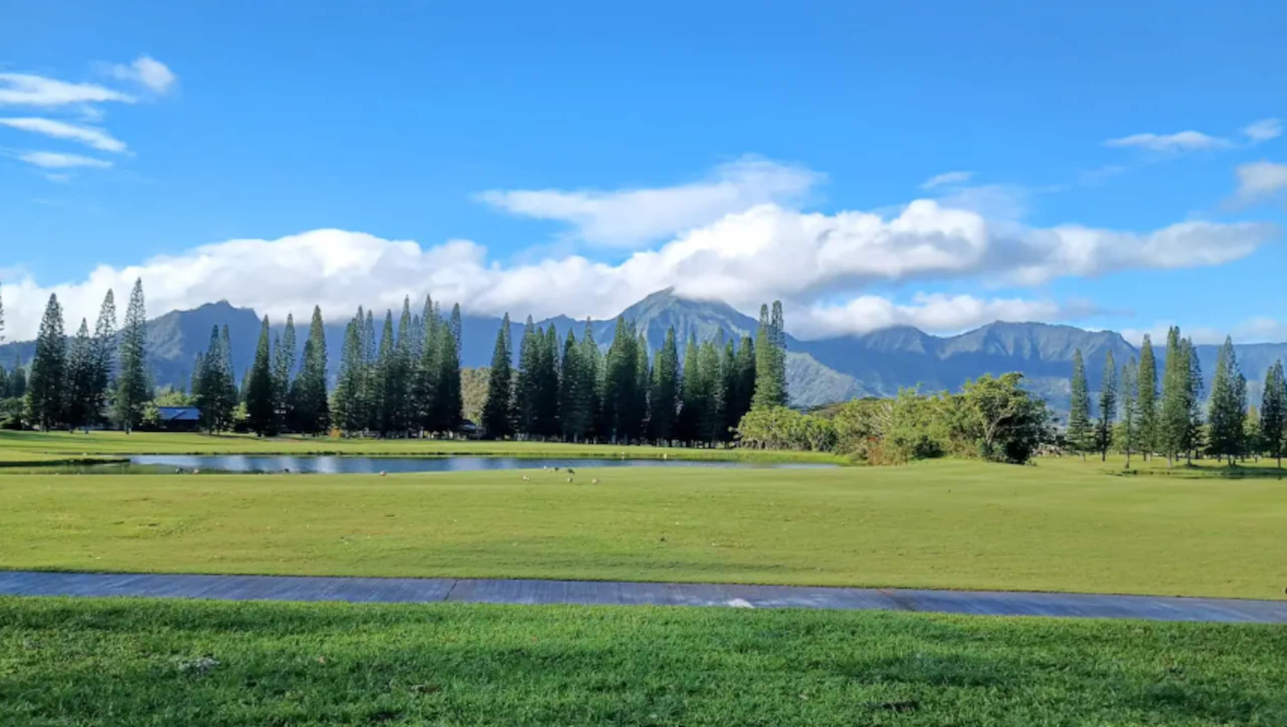 Condo in Princeville · ★4.95 · 2 bedrooms · 2 beds · 1.5 baths - Image 38