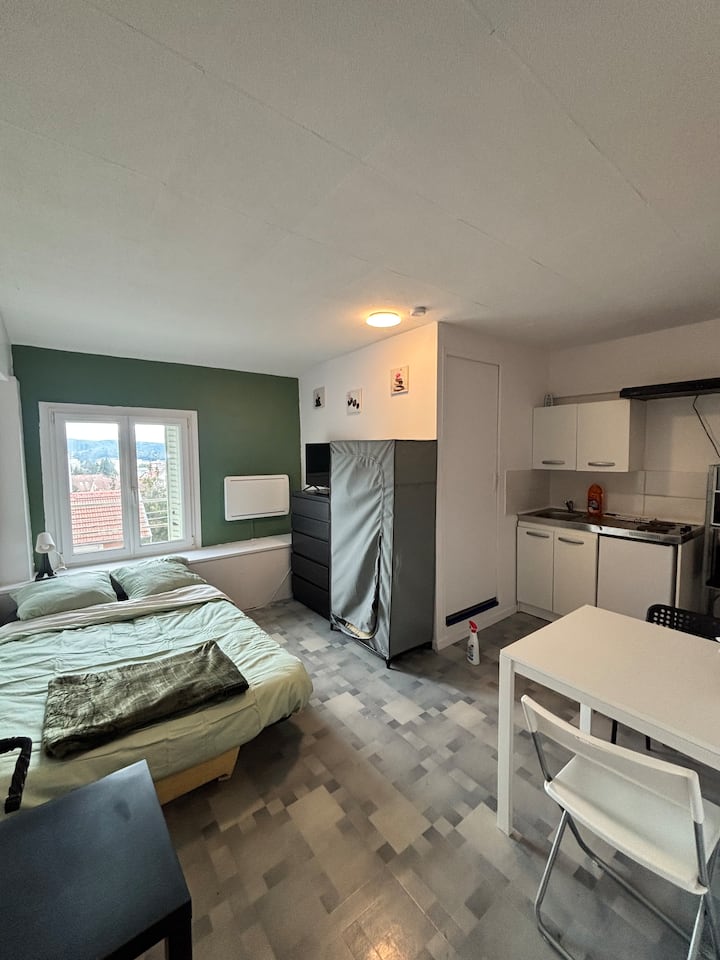 Le Gite "Detroit Studette 1 " Besancon Confort - Besançon